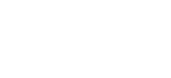 Leovisio Healthcare Consulting